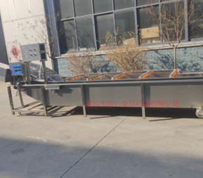 去農(nóng)藥殘留清洗機(jī)